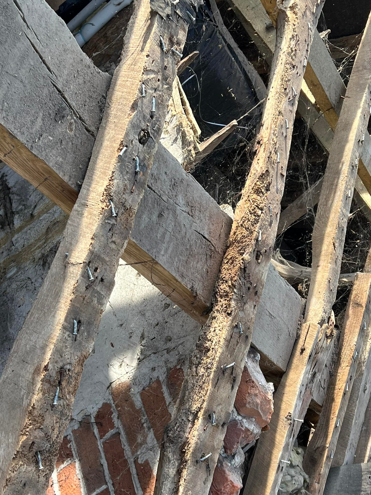 Roofing project - 738664217552540