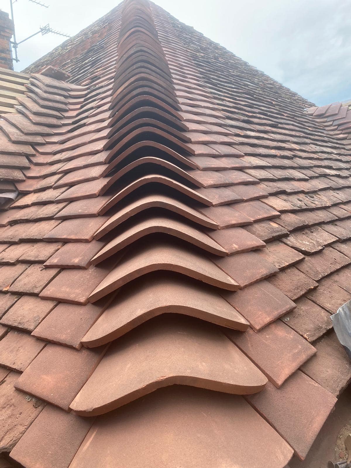 Roofing project - 772270710858557