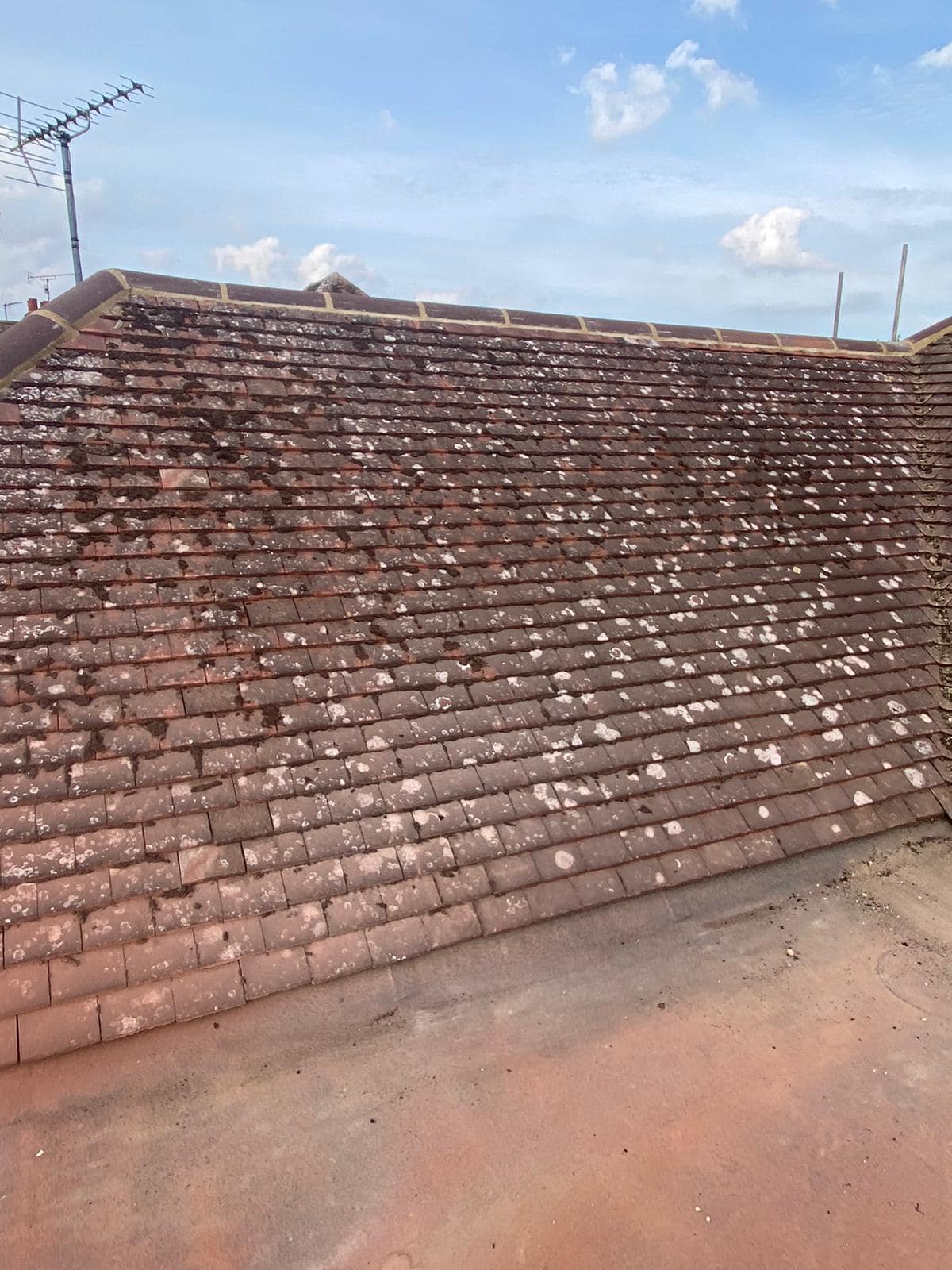 Roofing project - 777572870328341