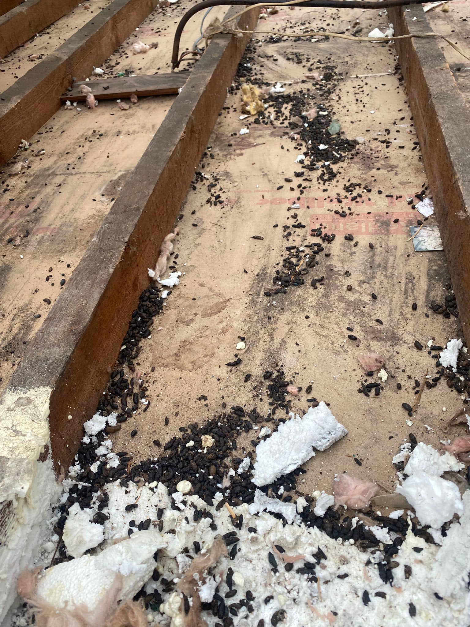 Roofing project - 820262902726004