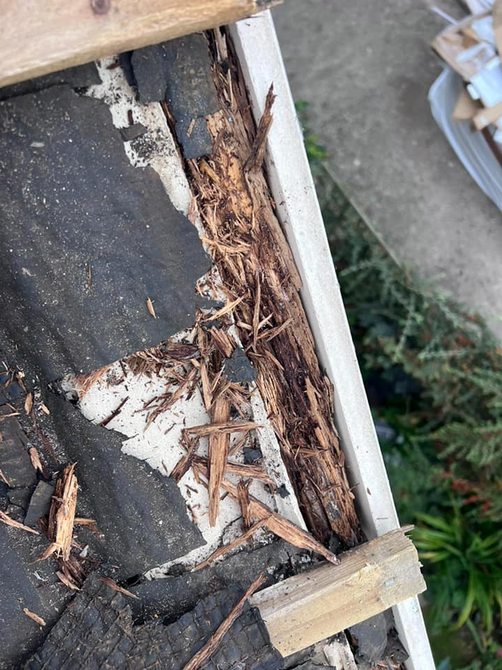 Roofing project - 820272682725026