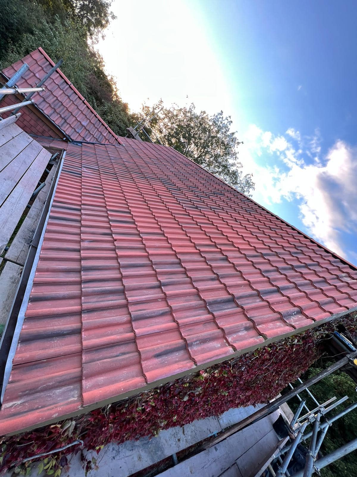 Roofing project - 820672866018341