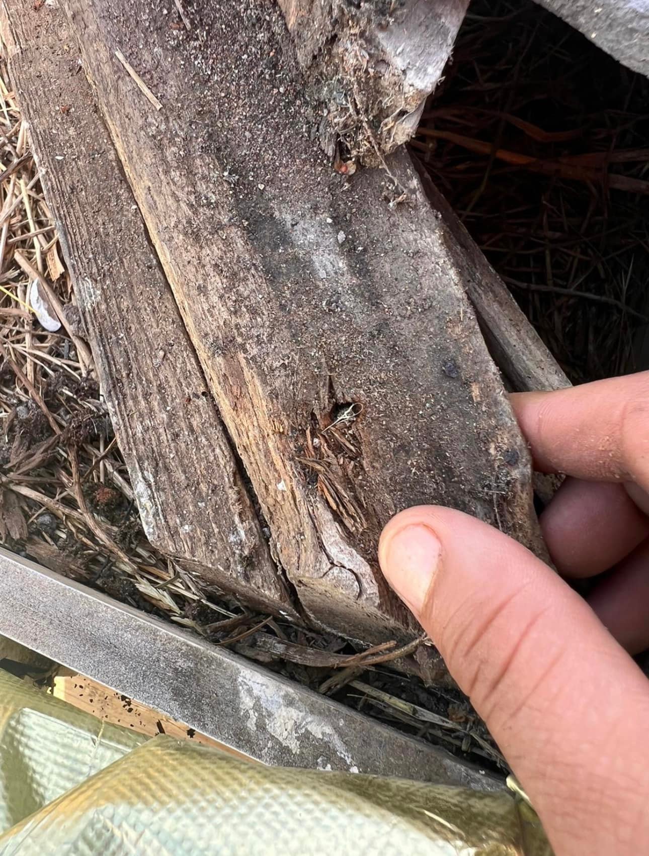 Roofing project - 931339488285011