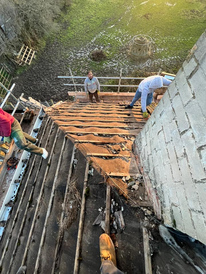 Roofing project - 931360854949541