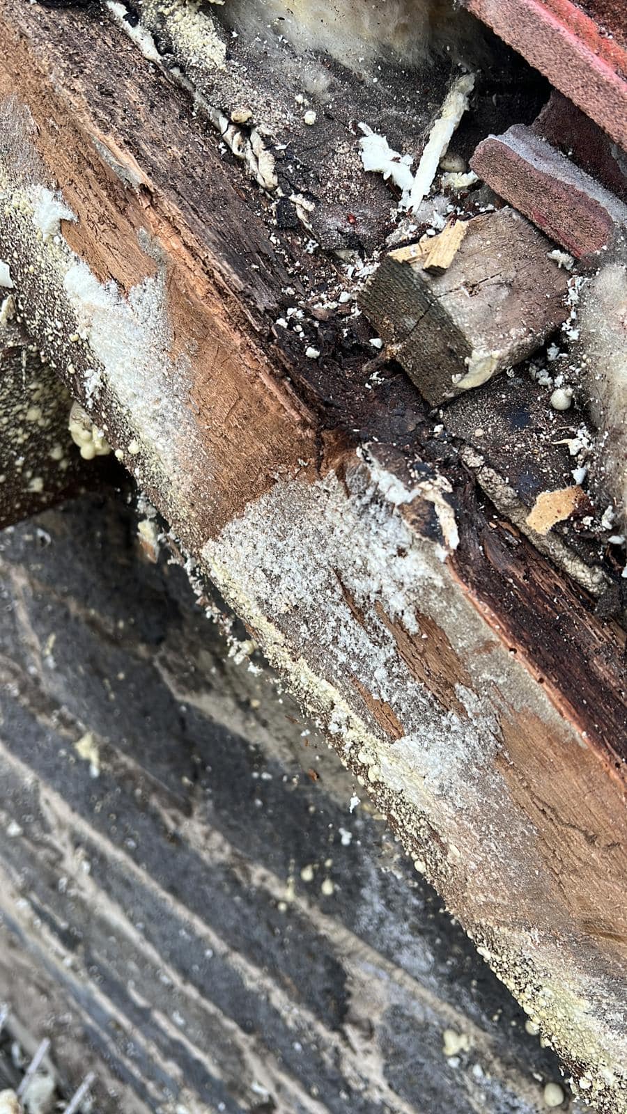 Roofing project - 934572481295045