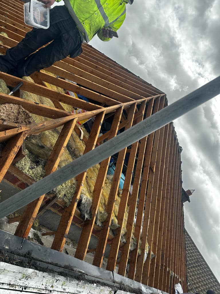 Roofing project - 935805684505058