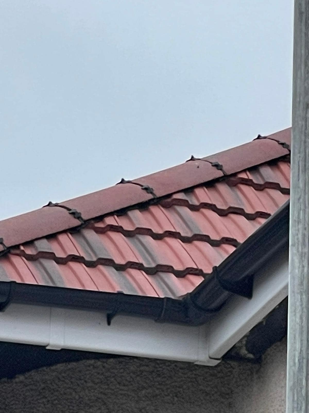 Roofing project - 982601693158790