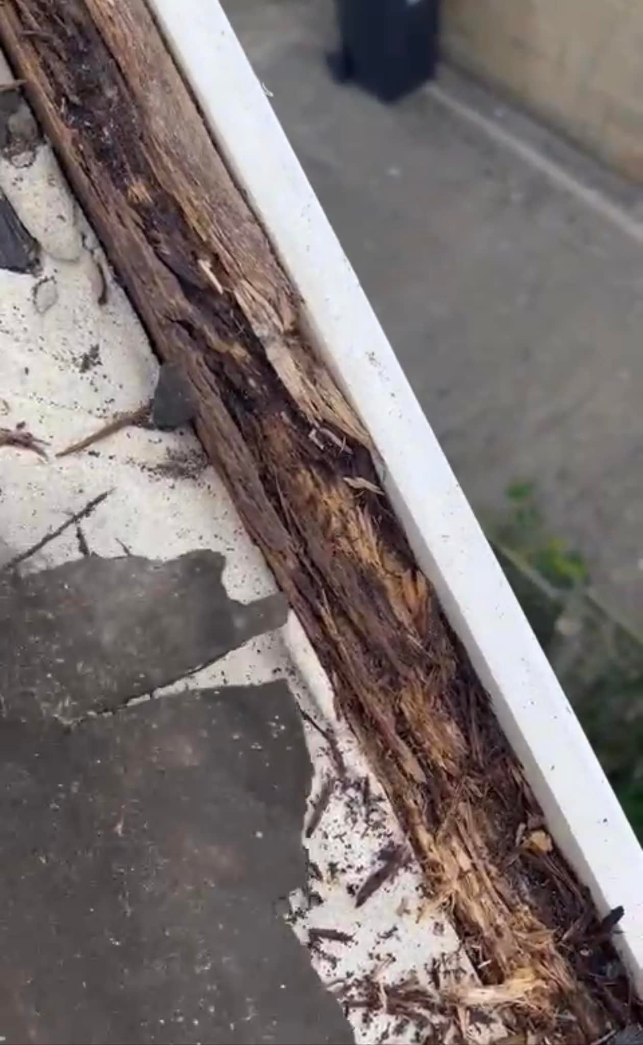 Roofing project - 982606589824967