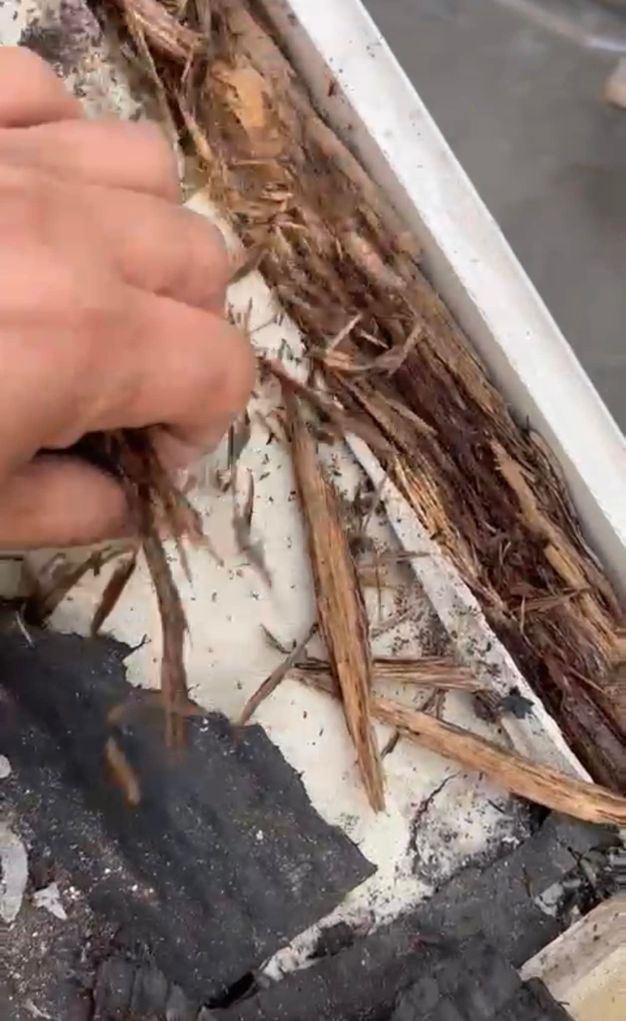 Roofing project - 982606829824943