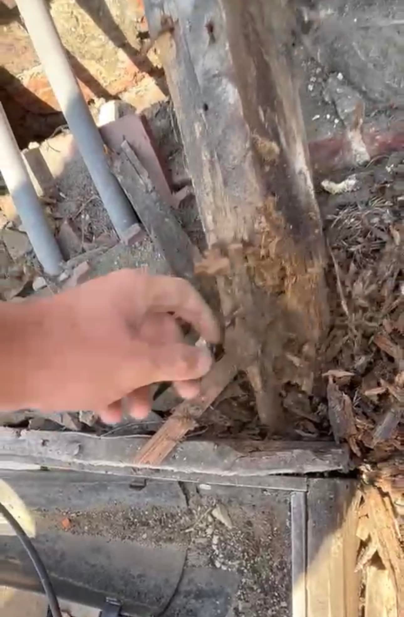 Roofing project - 982606933158266