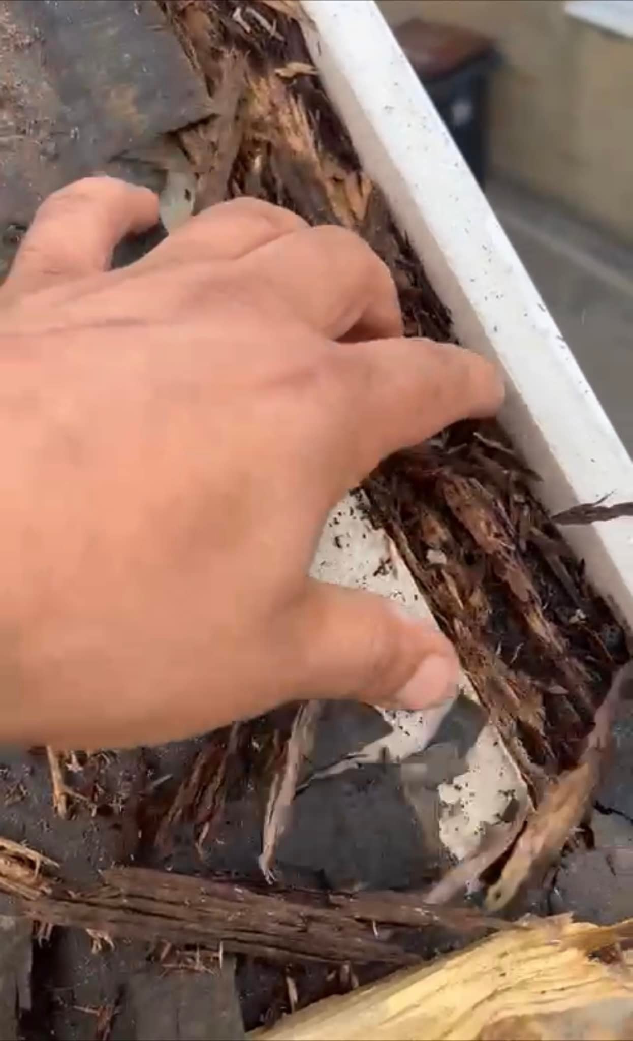 Roofing project - 982607309824895