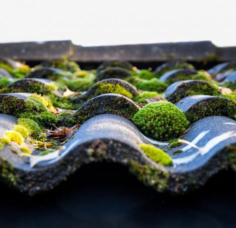 KS Roof Master Limited team performing moss removal and roof cleaning in London, UK