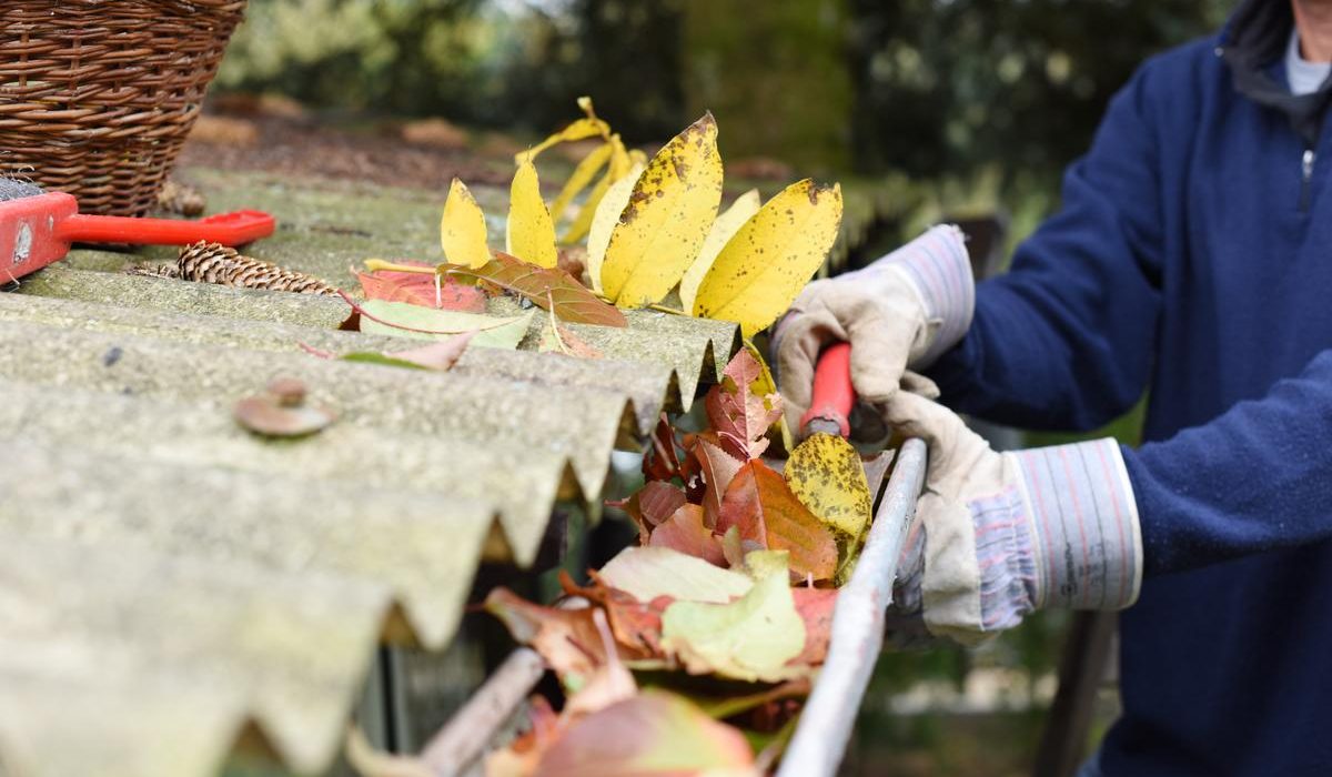 Expert Gutter Cleaning Services in London